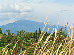 Le Mont Ventoux en images